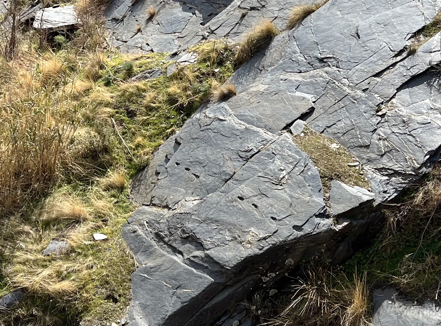 Huellas talladas en la roca